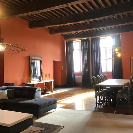 Le Dardenne-Hotel Particulier Historique Апартаменты Вильфранш-де-Руэрг